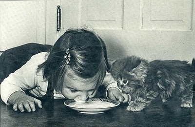 click for enlarge 600 X 390 69.5 Kb picture