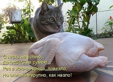 click for enlarge 600 X 433 84.1 Kb picture