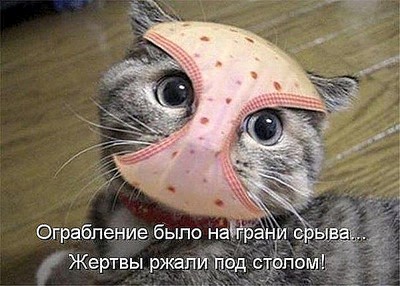 click for enlarge 600 X 429 72.2 Kb picture