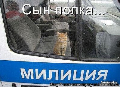 click for enlarge 550 X 400 55.1 Kb picture