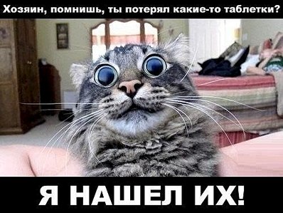 click for enlarge 500 X 376 44.9 Kb picture