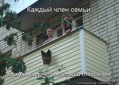 click for enlarge 700 X 501 83.6 Kb picture