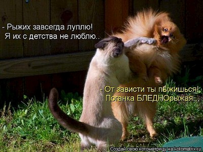 click for enlarge 600 X 450 77.6 Kb picture