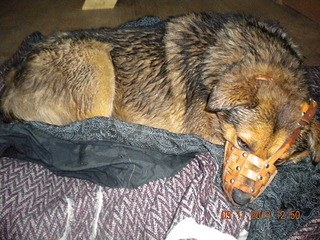 click for enlarge 1920 X 1440 945.8 Kb picture