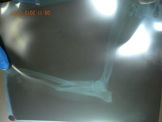 click for enlarge 1920 X 1440 593.5 Kb picture