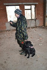 click for enlarge 402 X 604  57.1 Kb picture