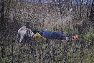 click for enlarge 604 X 403 101.3 Kb picture