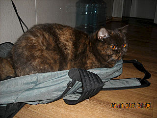 click for enlarge 640 X 480 63.7 Kb picture