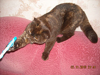 click for enlarge 640 X 480 66.2 Kb picture