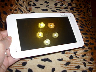 click for enlarge 1920 X 1440 525.5 Kb picture