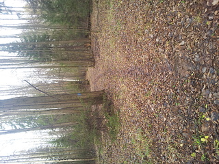 click for enlarge 1920 X 1440 460.7 Kb picture