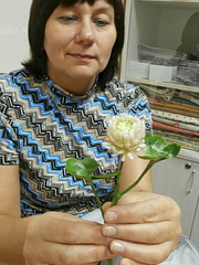 click for enlarge 600 X 800 196.7 Kb picture