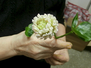 click for enlarge 800 X 600 154.4 Kb picture