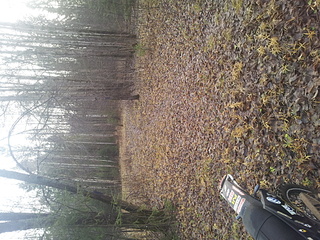 click for enlarge 1920 X 1440 493.0 Kb picture