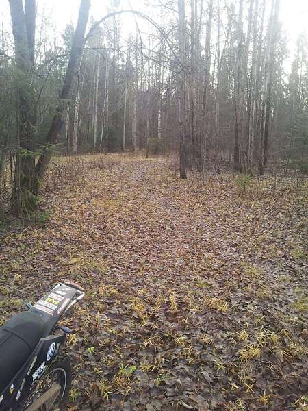 click for enlarge 1440 X 1920 476.0 Kb picture