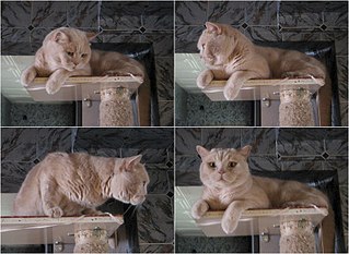 click for enlarge 852 X 622 116.5 Kb picture