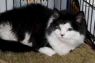 click for enlarge 1920 X 1279 146.1 Kb picture