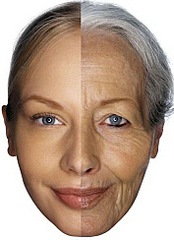 click for enlarge 354 X 487 38.7 Kb picture