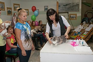 click for enlarge 1280 X 853 219.4 Kb picture
