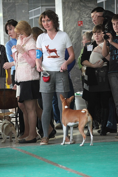 click for enlarge 1500 X 2250 643.8 Kb picture