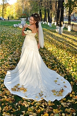 click for enlarge 854 X 1286 214.1 Kb picture