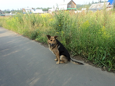 click for enlarge 1920 X 1440 876.4 Kb picture