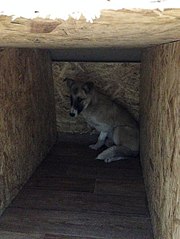 click for enlarge 453 X 604  54.7 Kb picture