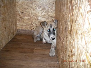 click for enlarge 807 X 605 103.8 Kb picture