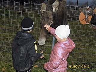click for enlarge 640 X 480 305.8 Kb picture