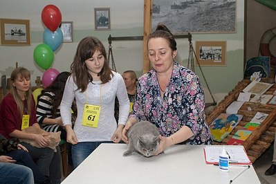 click for enlarge 604 X 403 58.6 Kb picture