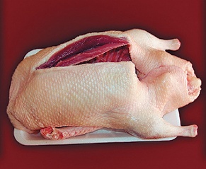 click for enlarge 1024 X 842 210.1 Kb picture