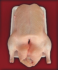 click for enlarge 842 X 1024 201.3 Kb picture