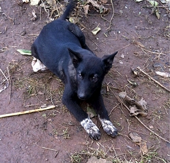 click for enlarge 985 X 948 538.2 Kb picture