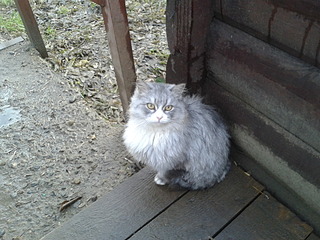 click for enlarge 1920 X 1440 740.4 Kb picture