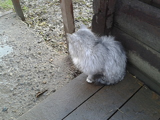 click for enlarge 1920 X 1440 820.2 Kb picture