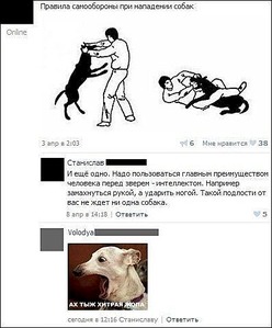 click for enlarge 398 X 480 560.7 Kb picture