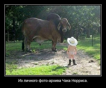 click for enlarge 500 X 414 606.5 Kb picture