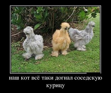 click for enlarge 500 X 423 619.7 Kb picture