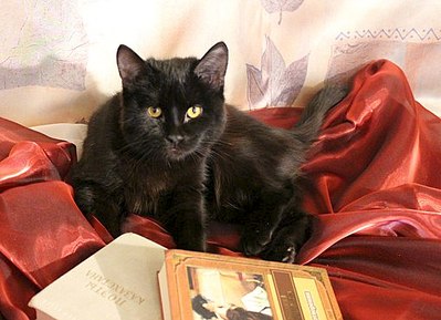 click for enlarge 510 X 369 41.2 Kb picture