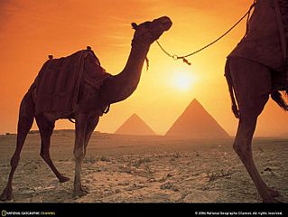 click for enlarge 700 X 525  49.4 Kb picture