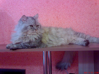 click for enlarge 1600 X 1200 995.5 Kb picture
