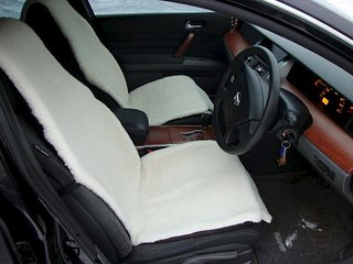 click for enlarge 604 X 453 41.6 Kb picture