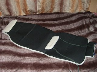 click for enlarge 604 X 453 65.5 Kb picture