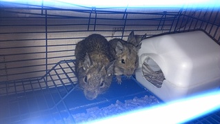 click for enlarge 1920 X 1082 500.9 Kb picture