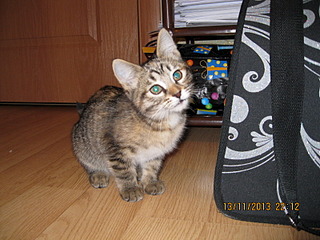 click for enlarge 1600 X 1200 735.2 Kb picture