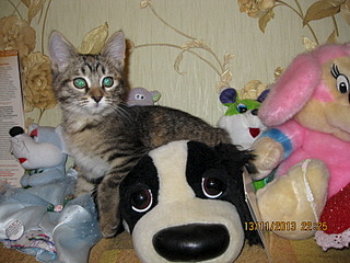 click for enlarge 1600 X 1200 708.7 Kb picture