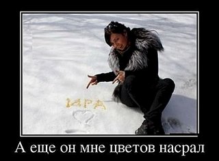 click for enlarge 440 X 325  21.7 Kb picture