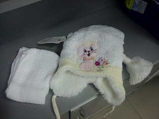 click for enlarge 1920 X 1440 419.1 Kb picture