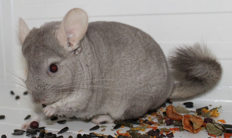 click for enlarge 1783 X 1064 713.0 Kb picture