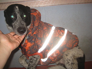 click for enlarge 1920 X 1440 655.9 Kb picture